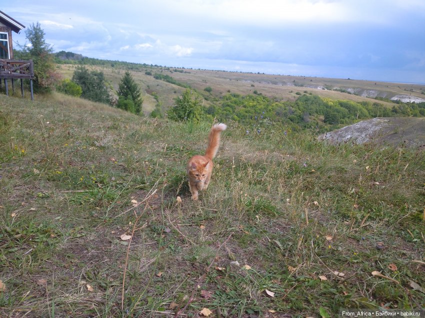 Воспоминания о море. Часть II