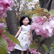 Сакура цветет на радость Лин-Лин