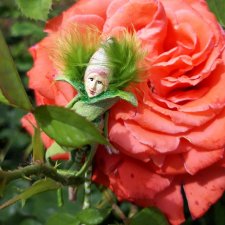 Прогулка по Киеву с Цветочным Эльфом