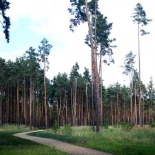 Экскурсия в одно из имений бывшего президента. Приглашаю
