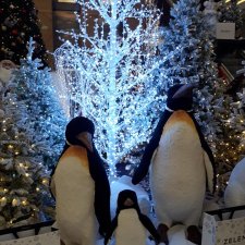 Праздничное настроение