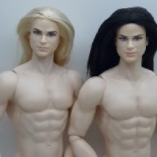 Адонисы, Короли, ИТ, БМР и "Сумеречные"... обзор тел, или записки безумного гибридизатора