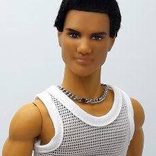 Мой Джейкоб (The Twilight Saga: New Moon Jacob Doll).