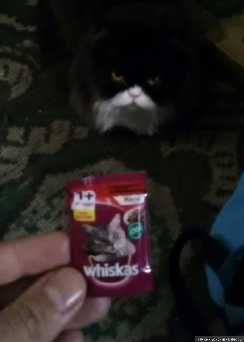 Счастливая случайность, Лента мини