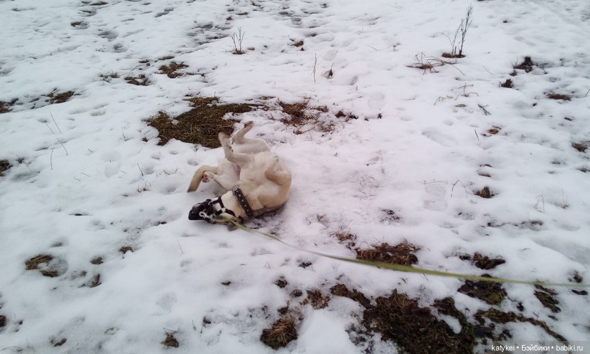 Имитация жары — Коллекционные экшн (фото 9)