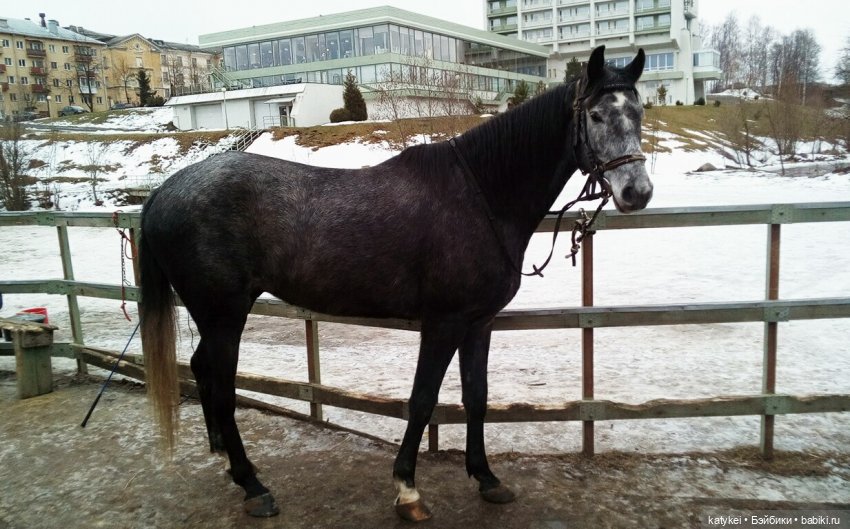 Имитация жары — Коллекционные экшн (фото 7)