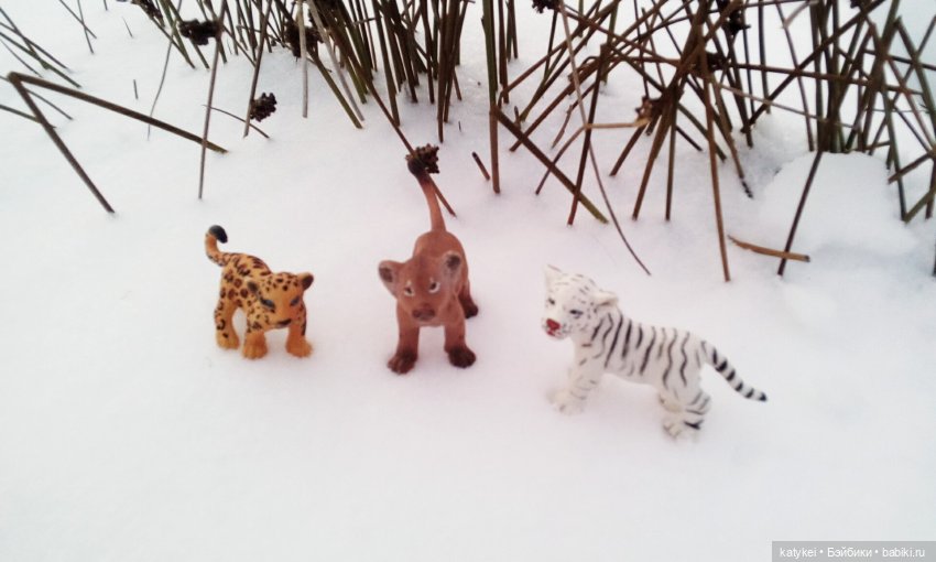 Австралиец в шоке (Весна) 50-й топик