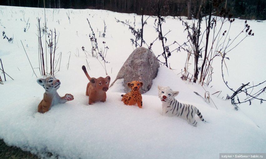 Австралиец в шоке (Весна) 50-й топик (фото 7)