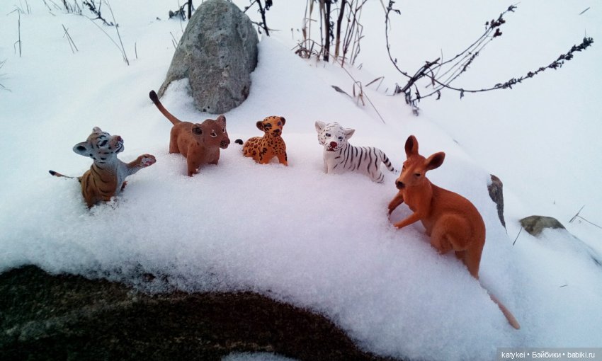 Австралиец в шоке (Весна) 50-й топик