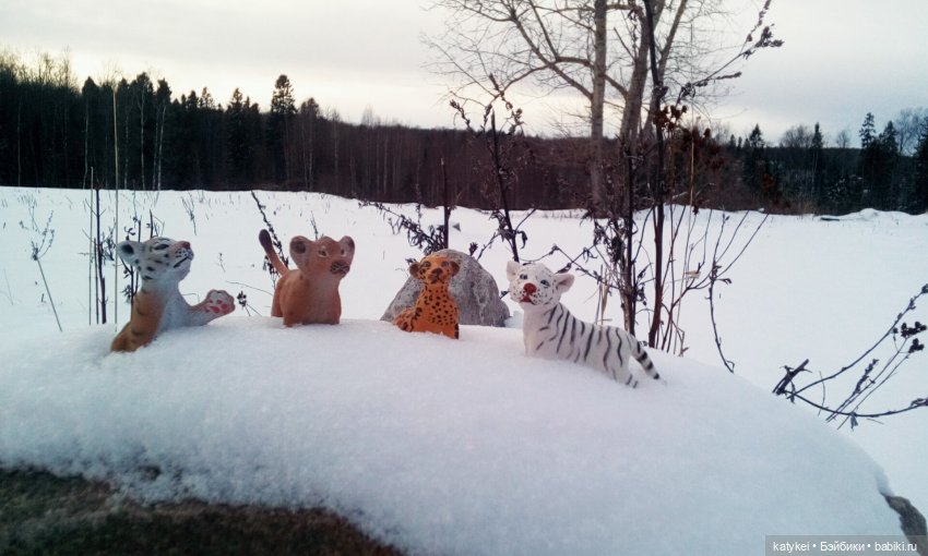 Австралиец в шоке (Весна) 50-й топик (фото 10)