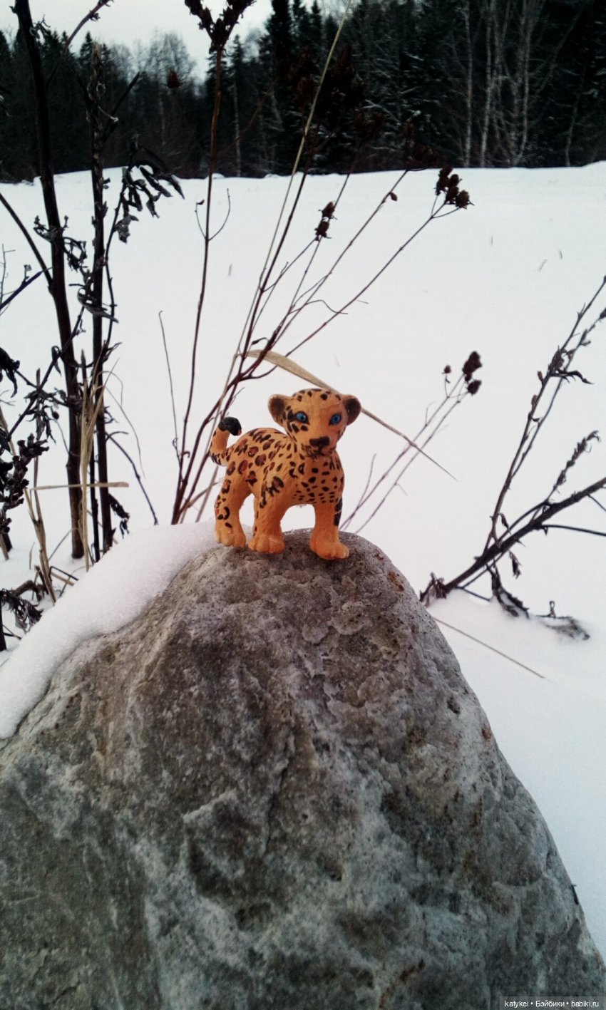 Австралиец в шоке (Весна) 50-й топик (фото 5)