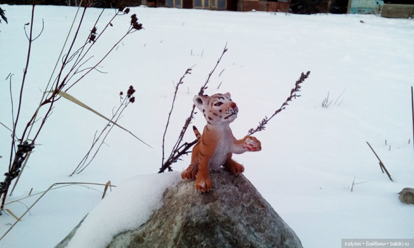 Австралиец в шоке (Весна) 50-й топик (фото 3)