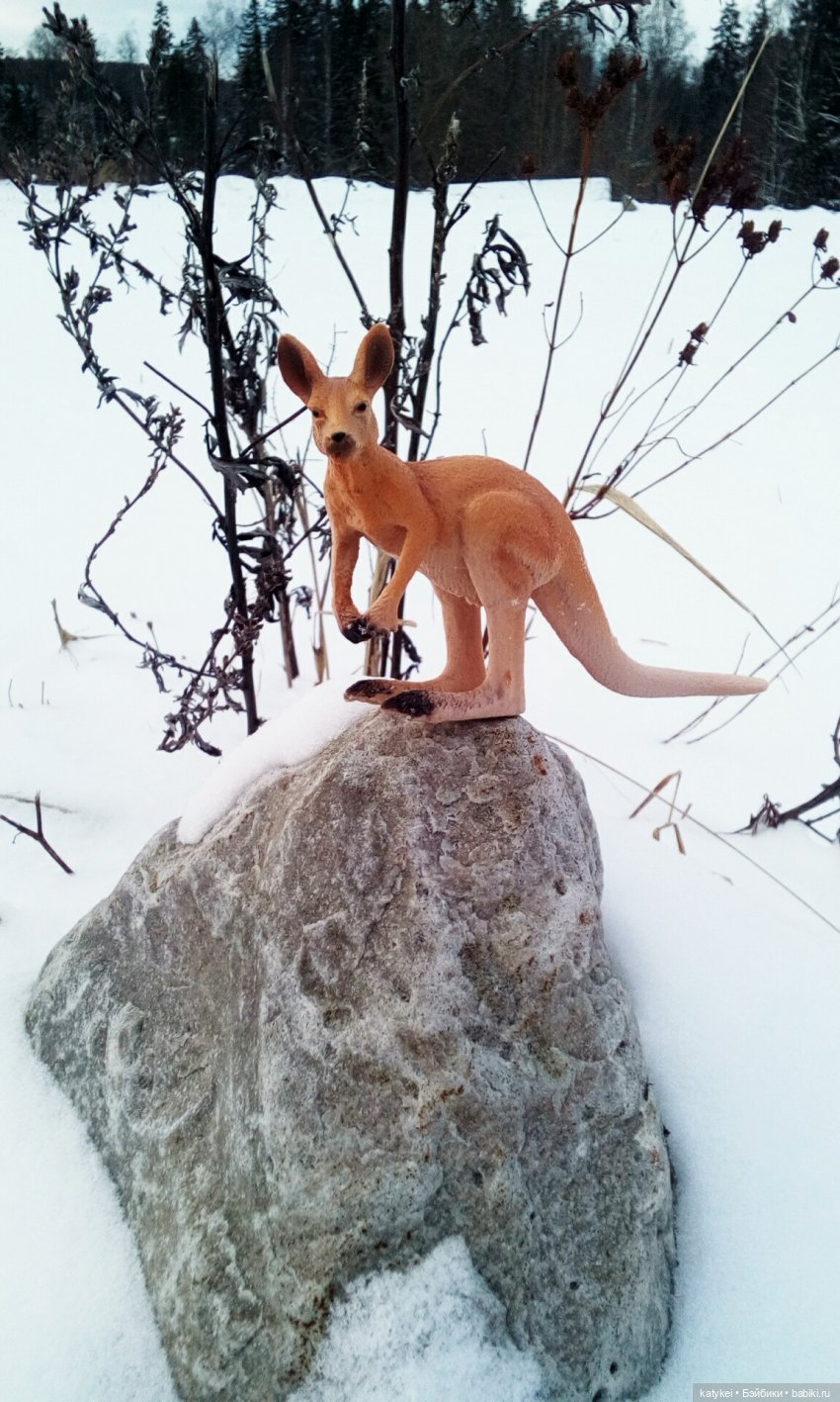 Австралиец в шоке (Весна) 50-й топик (фото 2)