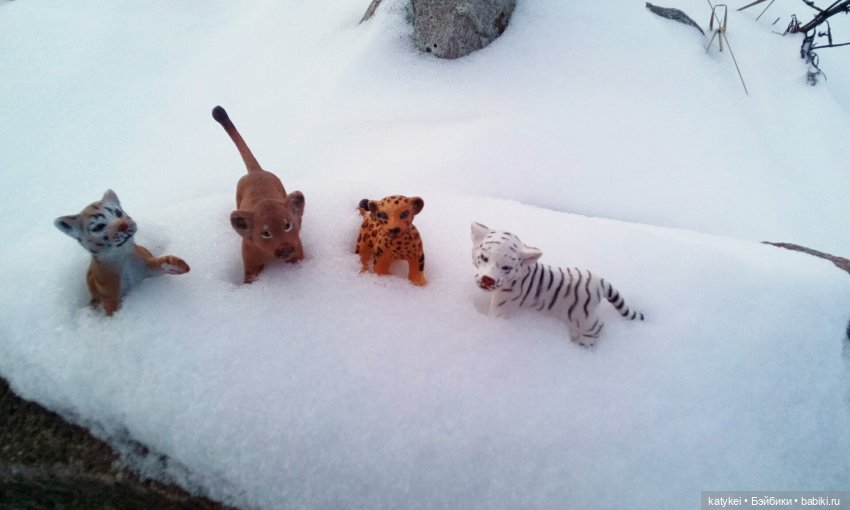 Австралиец в шоке (Весна) 50-й топик (фото 8)