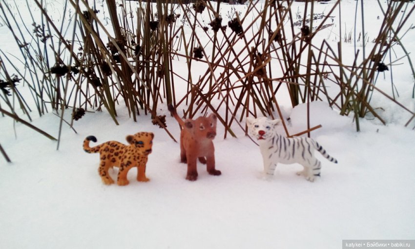 Австралиец в шоке (Весна) 50-й топик (фото 9)