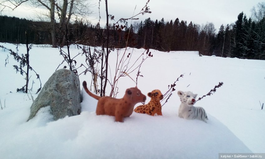 Австралиец в шоке (Весна) 50-й топик