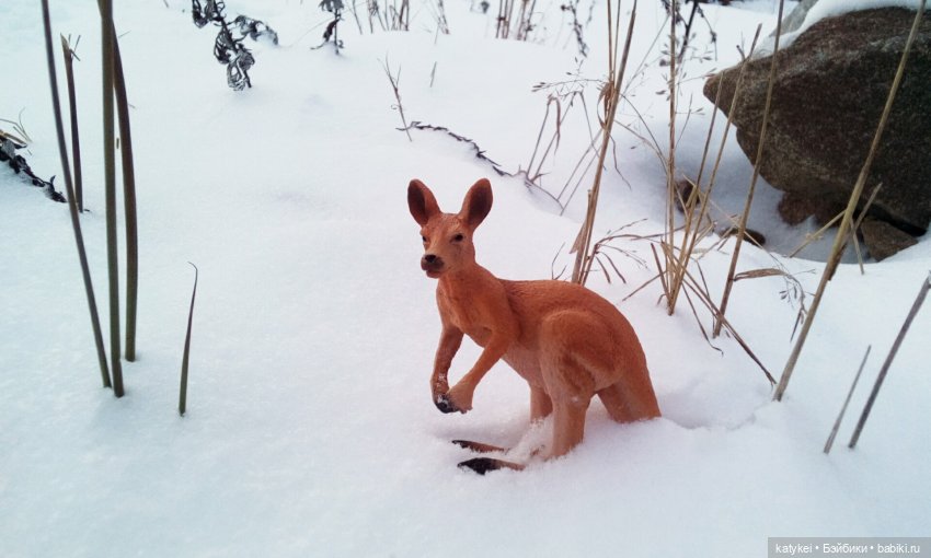 Австралиец в шоке (Весна) 50-й топик