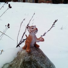 Австралиец в шоке (Весна) 50-й топик