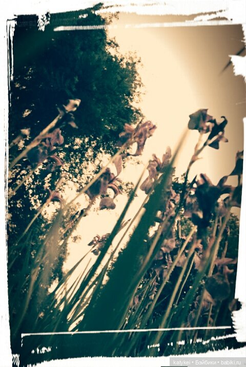 Космические истории 2 — Гибриды шарнирных кукол (не БЖД): подбор тела