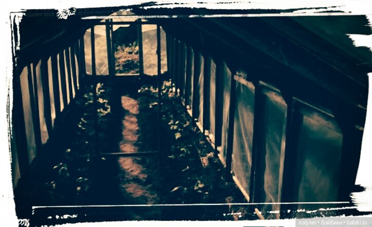 Космические истории 2 — Гибриды шарнирных кукол (не БЖД): подбор тела