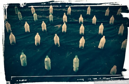 Космические истории 2 — Гибриды шарнирных кукол (не БЖД): подбор тела