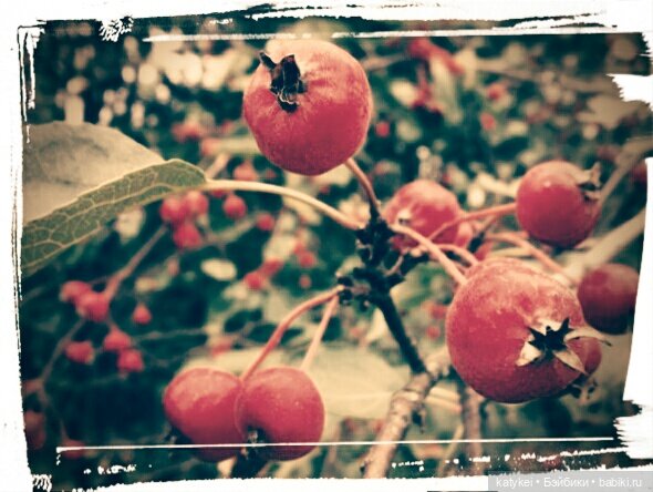 Космические истории 2 — Гибриды шарнирных кукол (не БЖД): подбор тела (фото 3)