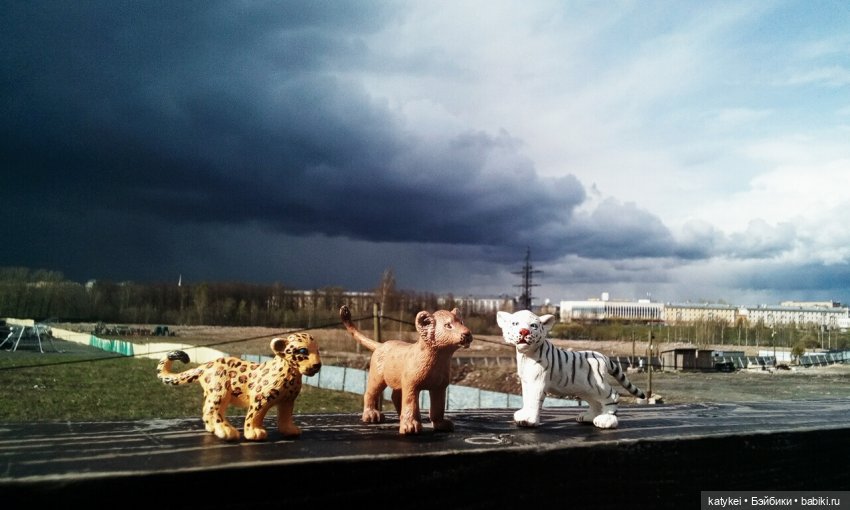 Поздравлялка Меня | Бэйбики Поздравлялка Меня — Болталка и разговоры обо всем: жизнь (фото 5)