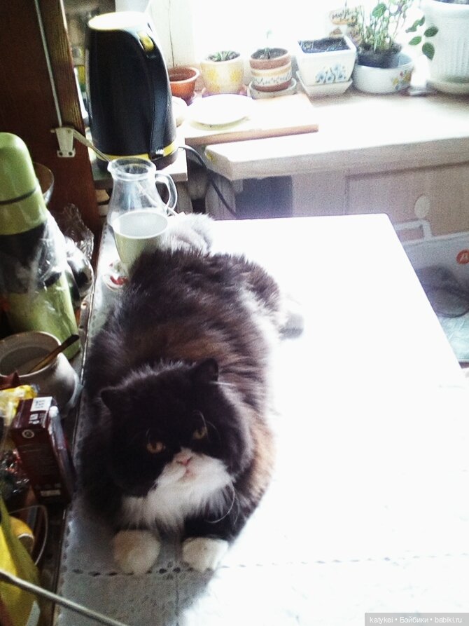 О Клир – ты Мир — Болталка и разговоры обо всем: жизнь (фото 10)