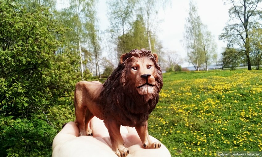 О Клир – ты Мир — Болталка и разговоры обо всем: жизнь (фото 8)