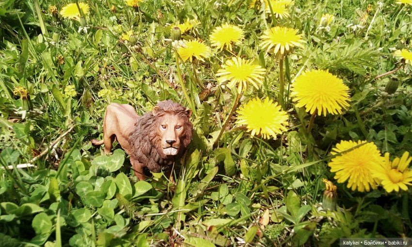 О Клир – ты Мир — Болталка и разговоры обо всем: жизнь (фото 7)