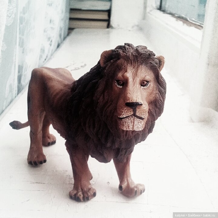 О Клир – ты Мир — Болталка и разговоры обо всем: жизнь (фото 5)