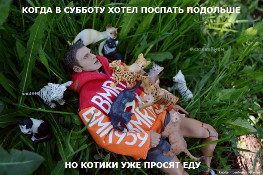 Когда в субботу хотел поспать подольше | Бэйбики Когда в субботу хотел поспать подольше