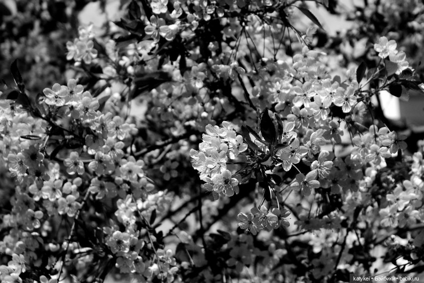 Когда в субботу хотел поспать подольше | Бэйбики Когда в субботу хотел поспать подольше (фото 6)