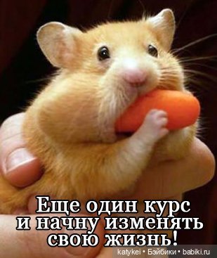 Антихомяк — Болталка и разговоры обо всем: жизнь (фото 6)