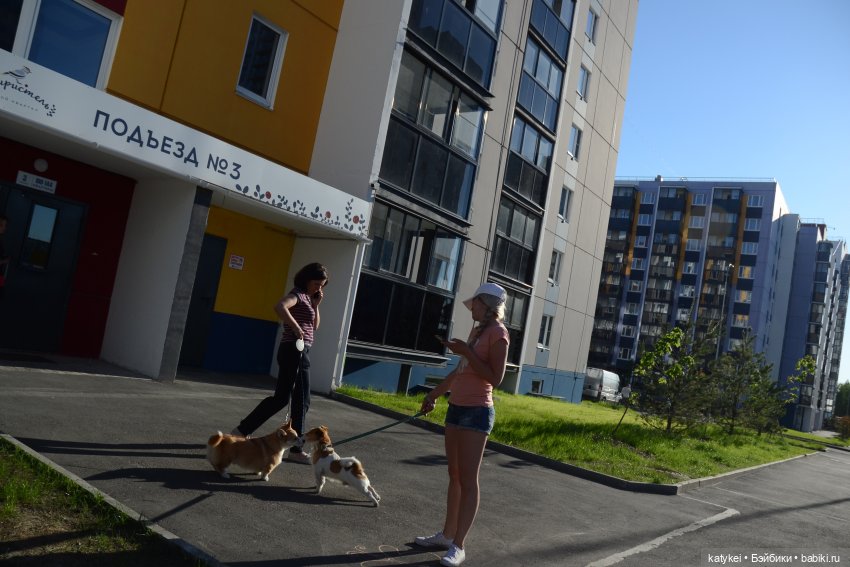 Другой Мир (постконкурс) — Коллекционные экшн