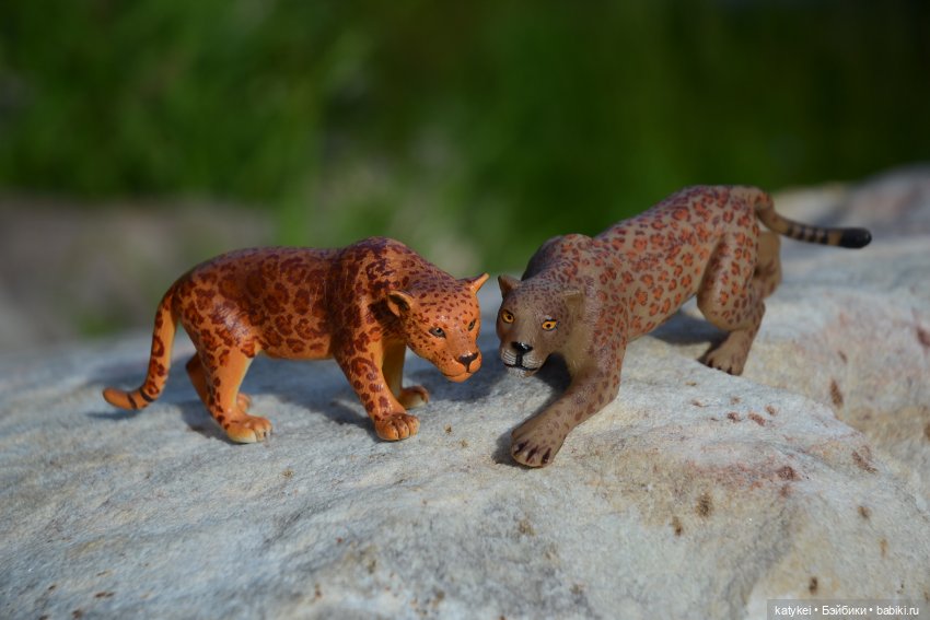 Их Ареалы Пересеклись. Миссис Бэйбики 2020 (фото 10)