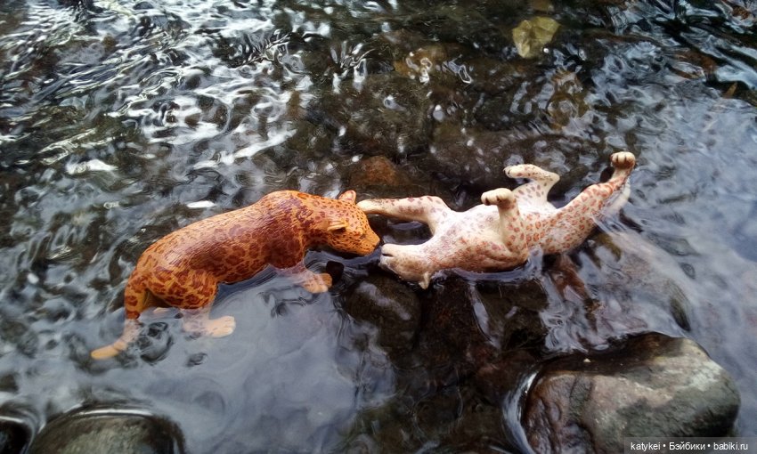 Их Ареалы Пересеклись. Миссис Бэйбики 2020 (фото 9)