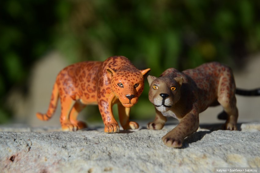 Их Ареалы Пересеклись. Миссис Бэйбики 2020 (фото 6)