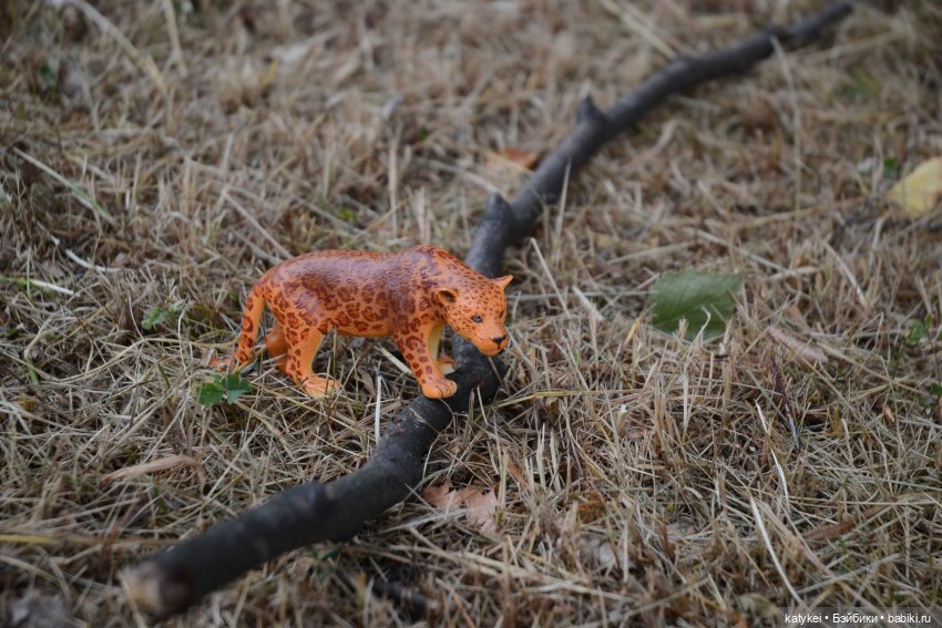 Их Ареалы Пересеклись. Миссис Бэйбики 2020 (фото 2)