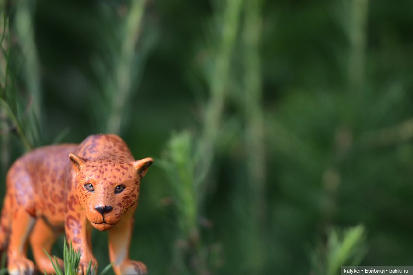 Их Ареалы Пересеклись. Миссис Бэйбики 2020