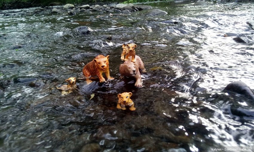 Их Ареалы Пересеклись. Миссис Бэйбики 2020