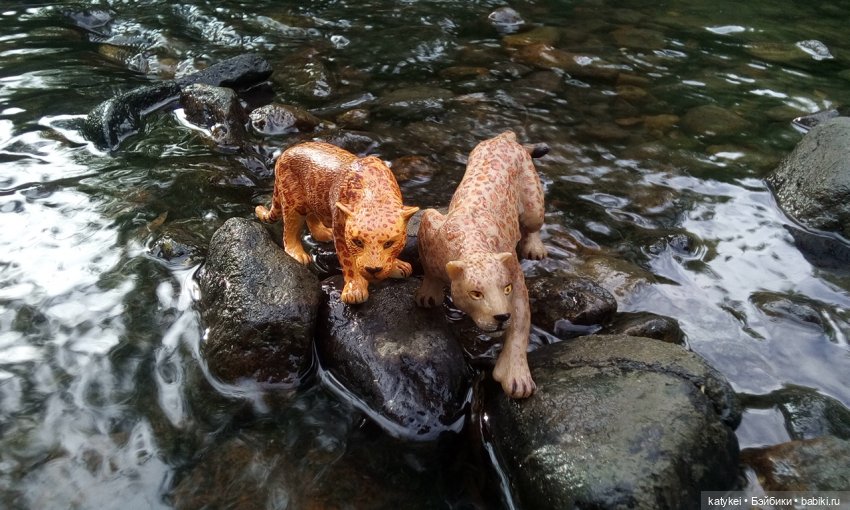 Их Ареалы Пересеклись. Миссис Бэйбики 2020