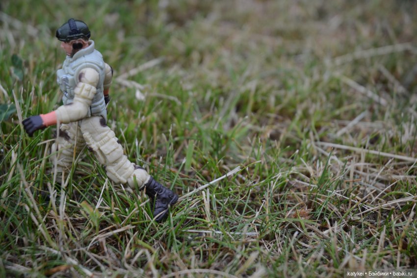 Их Ареалы Пересеклись. Миссис Бэйбики 2020