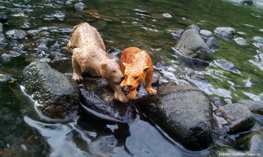 Их Ареалы Пересеклись. Миссис Бэйбики 2020 (фото 8)