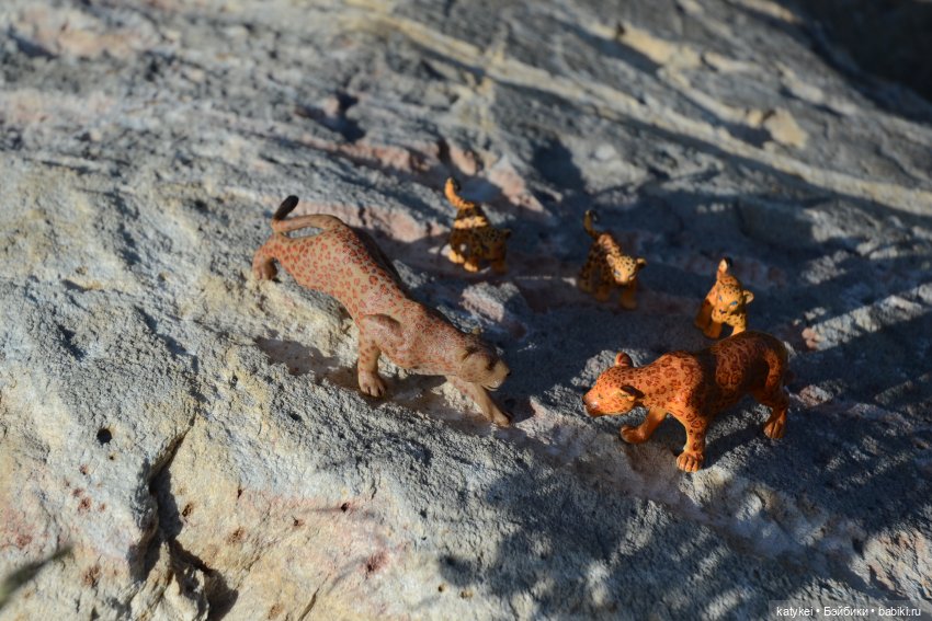 Их Ареалы Пересеклись. Миссис Бэйбики 2020