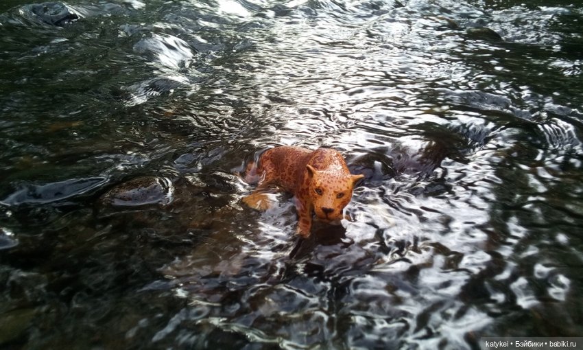 Их Ареалы Пересеклись. Миссис Бэйбики 2020 (фото 3)