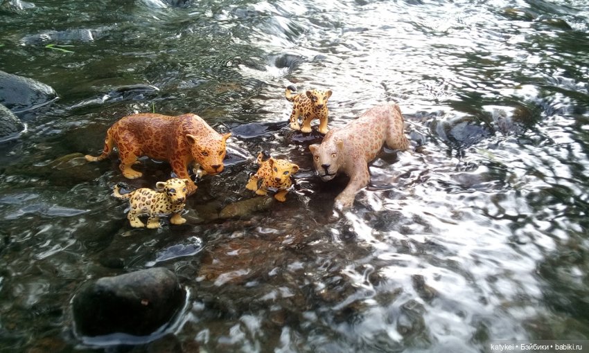 Их Ареалы Пересеклись. Миссис Бэйбики 2020