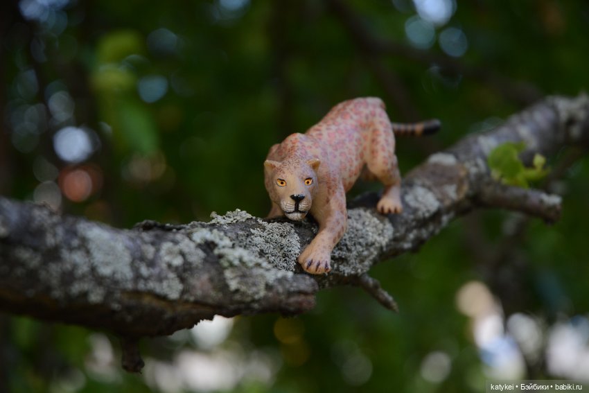 Их Ареалы Пересеклись. Миссис Бэйбики 2020 (фото 4)