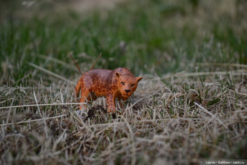 Их Ареалы Пересеклись. Миссис Бэйбики 2020