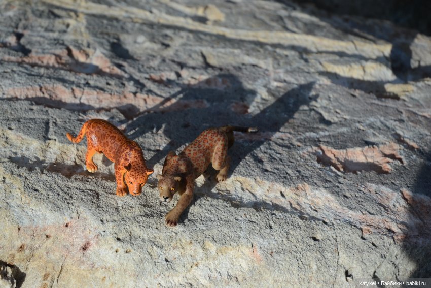 Их Ареалы Пересеклись. Миссис Бэйбики 2020